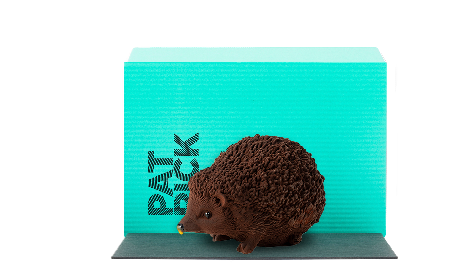 Q4 Hedgehog