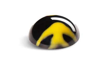 C5