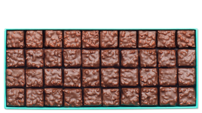 Assortiment instincts pralinés amande noisette patrick roger chocolatier