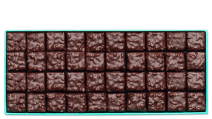 Assortiment pralinés Instincts amande noisette patrick roger