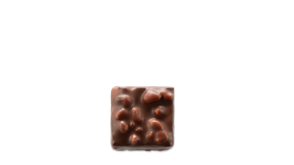 praliné amande noisette chocolat lait patrick roger