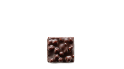 praliné amande noisette chocolat noir patrick roger