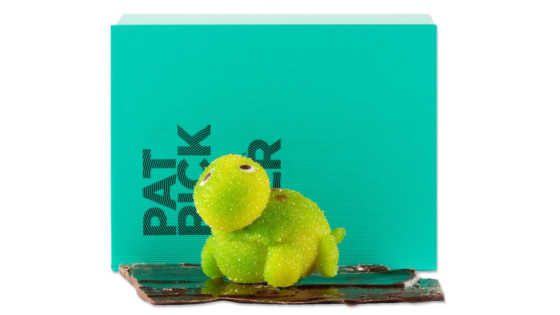 カメ - アーモンドペースト | パトリック・ロジェ – Patrick Roger