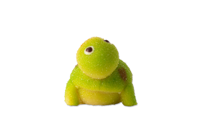 Tortue en pâte d&
