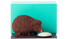 Hérisson en chocolat de Pâques 2025 - Patrick Roger