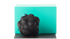 Mouton en chocolat de Pâques 2025 - Patrick Roger