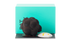 Oeuf mouton en chocolat de Pâques 2025 - Patrick Roger