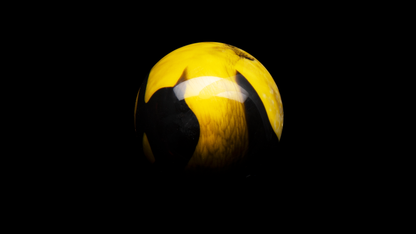 demi-sphere Abeille : coque en chocolat Madagascar, ganache miel - Patrick Roger